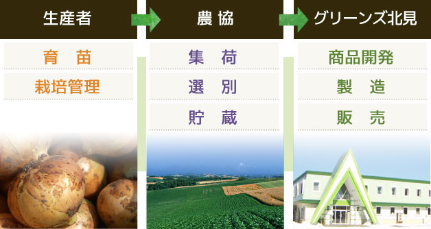 入荷の仕組み　生産者→農協→グリーンズ北見