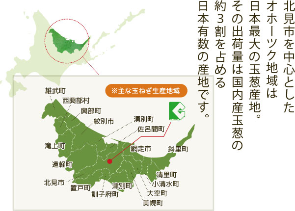 北見市を中心としたオホーツク地域は日本最大の玉葱産地。その出荷量は国内産玉葱の約３割を占める日本有数の産地です。